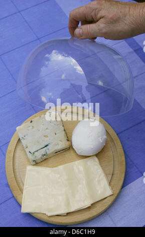 Datei - Archiv zur Veranschaulichung datiert 4. Juli 2008 zeigt ein Stück Gorgonzola Käse, Mozzarella und drei Scheiben Käse in Osterode, Deutschland. Lebensmittelskandale Schlagzeilen immer wieder in Italien. Durch unlautere Praktiken verdient "Agro-Mafia" Milliarden. Foto: Frank Mai Stockfoto