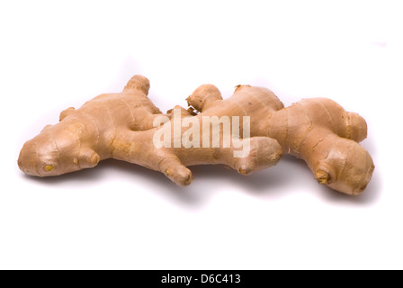 Ingwer auf weißem Hintergrund Stockfoto
