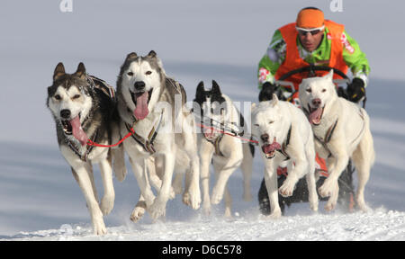 Ein Teilnehmer des internationalen Sled Dog Race treibt seine sechs-Hund-Team durch die Landschaft in der Nähe von Unterjoch, Deutschland, 14. Januar 2012. Etwa 100 Teams besucht die Konkurrenz am Ende eine sechs bis achtzehn Kilometer-Kurses. Foto: KARL-JOSEF HILDENBRAND Stockfoto