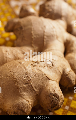 Ganze Ingwerwurzel Stockfoto