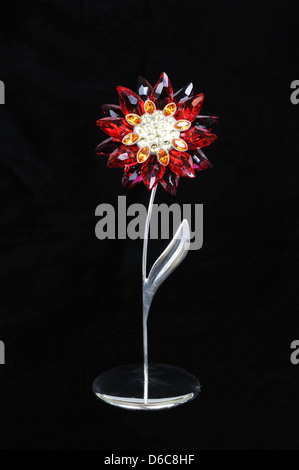 Crystal daisy vor einem schwarzen Hintergrund. Stockfoto