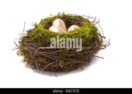 Goldenen Eiern auf ein nest Stockfoto