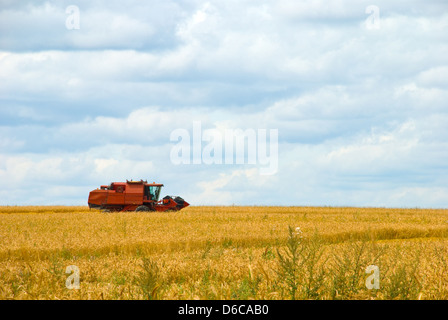 Arbeiten auf einer Weizen-Getreide Mähdrescher Stockfoto