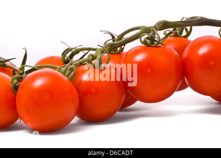 Cherry-Tomaten auf Studio weißer Hintergrund. Stockfoto