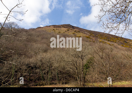 Peter Rock betrachtet von Heddon Valley Exmoor National Park Devon Stockfoto