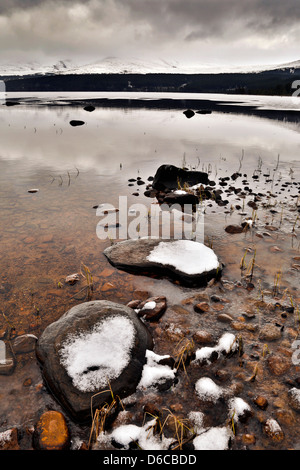 Loch Morlich; Winter; In der Nähe von Aviemore; Schottland; UK Stockfoto