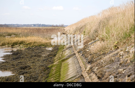 Verstärkte Flut Verteidigung Bank auf dem River Deben, Sutton, England Stockfoto