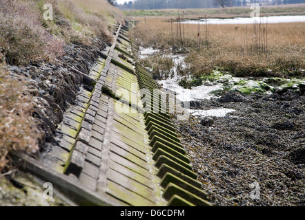 Verstärkte Flut Verteidigung Bank auf dem River Deben, Sutton, England Stockfoto