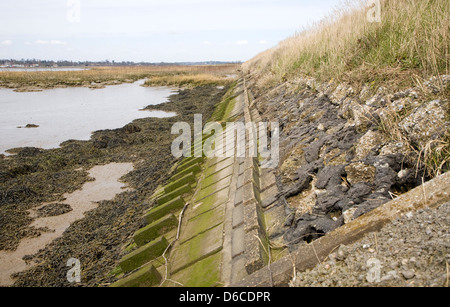 Verstärkte Flut Verteidigung Bank auf dem River Deben, Sutton, England Stockfoto