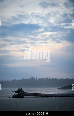 Sonnenuntergang am Long Beach, in der Nähe von Tofino, Vancouver Island Stockfoto