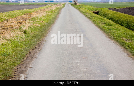 Kleine Straße überqueren Fenland Landschaft in der Nähe von südlicher, Norfolk, England Stockfoto