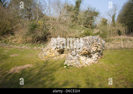 Website der römischen Stadt von Venta Icenorum, Caister St Edmund, Norfolk, England Stockfoto