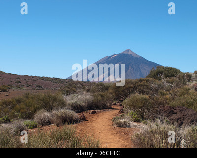 Wandern im Nationalpark Teide auf Teneriffa, gewundenen Wanderweg mit Blick auf den Teide Vulkan Stockfoto