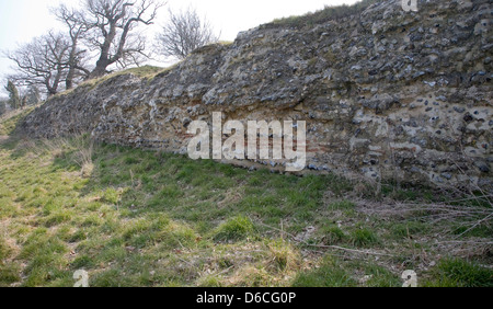 Website der römischen Stadt von Venta Icenorum, Caister St Edmund, Norfolk, England Stockfoto