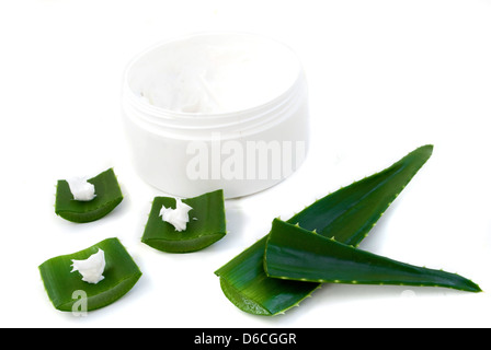 Aloe Vera Blätter und Sahne Stockfoto