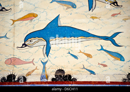 Knossos, Kreta, Griechenland. Minoische Ausgrabungsstätte. Delfin-Fresko in der Königin Megaron (Detail) Stockfoto