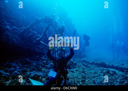 Wrack der Dunraven, roten Meer schieben Dez. 1986 Konvertierungen, Ägypten, Sinai-Halbinsel, Sudan Safariboot Tauchen, Haie, Unterwasser-Fotografie. Stockfoto