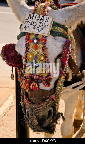 Esel in weiß gewaschen Dorfes Mijas Pueblo in Spanien Stockfoto