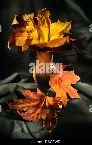 Stillleben mit Herbstlaub Stockfoto