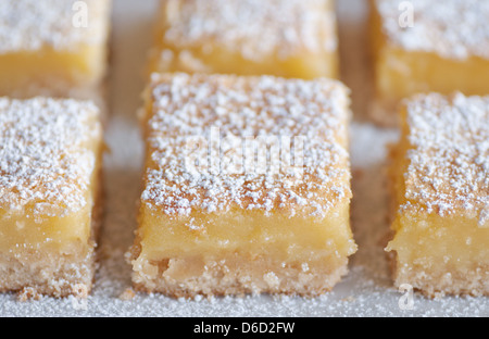 Frisch gebackene Meyer Lemon Bars mit Puderzucker Stockfoto