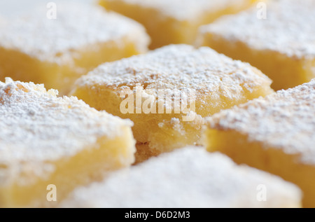 Frisch gebackene Meyer Lemon Bars mit Puderzucker Stockfoto