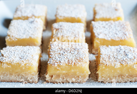 Frisch gebackene Meyer Lemon Bars mit Puderzucker Stockfoto