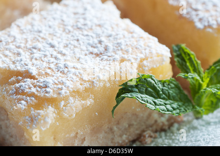 Frisch gebackene Meyer Lemon Bars mit Puderzucker Stockfoto