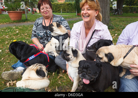 Berlin, Deutschland, Besitzer von Pugs bei einem Treffen in einem Garten Stockfoto