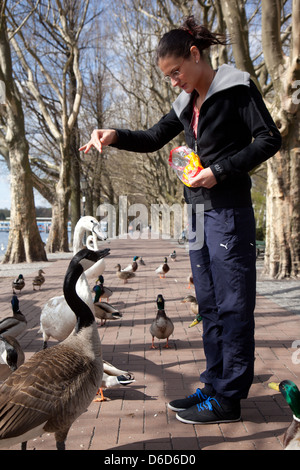 Berlin, Deutschland, junge Frau gefüttert Schwan, Kanada-Gans und Ente Stockfoto