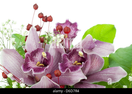 Orchideen von einem Brautstrauß Stockfoto