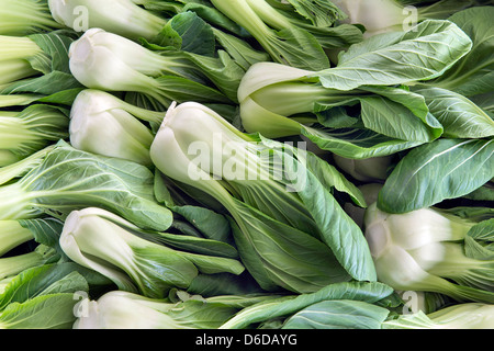 Chinakohl Bok Choy weiße Gemüse im nassen Markt in Südost-Asien Stockfoto