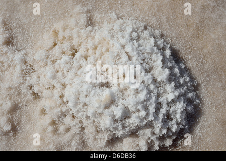 Weiße Kristalle von Halit Salz bei Badwater Basin. Death Valley Nationalpark, Kalifornien, USA. Stockfoto