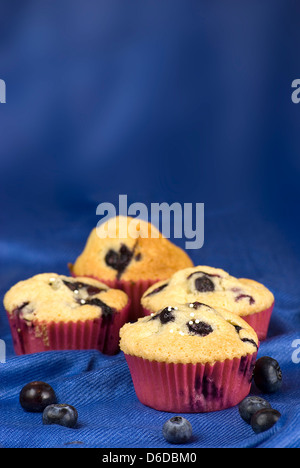 Heidelbeeren muffin Stockfoto