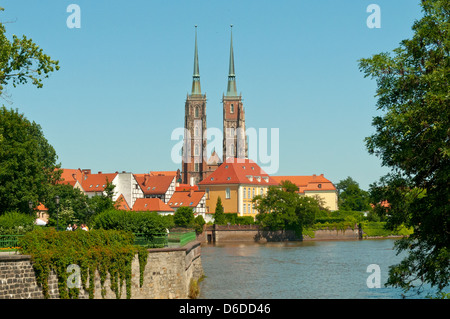 Kathedrale St. Johannes des Täufers, Wroclaw, Polen Stockfoto