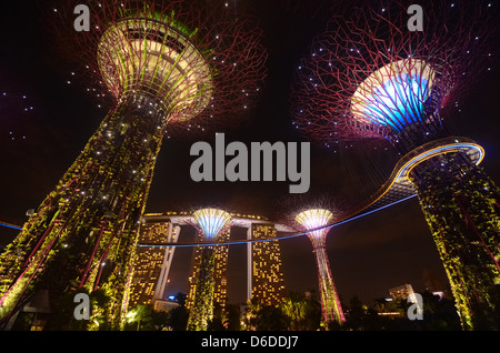 Gardens by the Bay - SuperTree Grove in Singapur Stockfoto