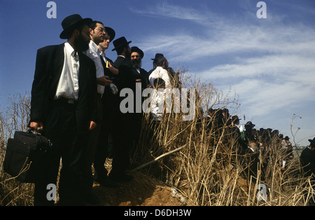 Ultraorthodoxe Juden, die an einer Beerdigung in der Stadt Bnei Brak oder Bene Beraq, einem Zentrum des Haredi-Judentums in Israel, teilnahmen Stockfoto