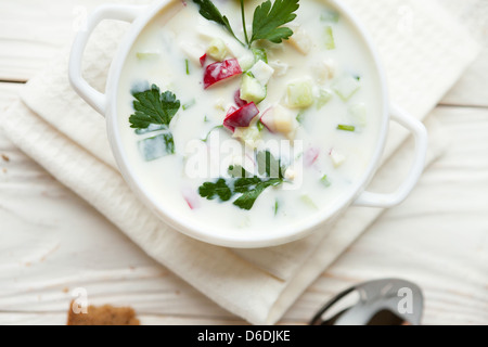 Russische traditionelle Lauchzwiebel, Sommer Suppe Stockfoto