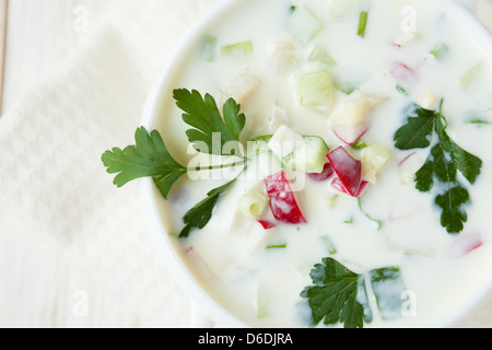 Russischer Sommer Suppe mit Gemüse und Joghurt, Nahaufnahme Stockfoto