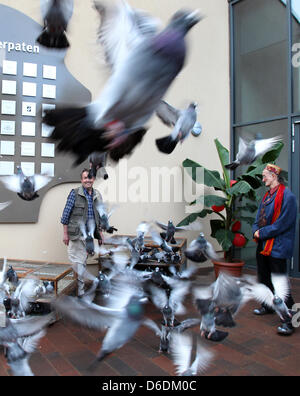 Tauben fliegen vor britischer Anthropologe und Ur-Enkel von Charles Darwin, Felix Padel (R), bei der Eröffnung des Darwineum im Zoo in Rostock, Deutschland, 7. September 2012. Affen und 40 andere Arten leben in den zusammengesetzten 29 Millionen Euro. Auf rund 20.000 Quadratmeter kann man durch die Evolution besichtigen. Foto: Bernd Wuestneck Stockfoto