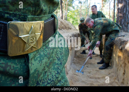 Deutsche und russische Soldaten graben ein Grab für die Übertragung der Überreste der deutschen Soldaten aus dem zweiten Weltkrieg auf dem Holz Friedhof in Halbe, Deutschland, 6. September 2012. Versöhnung über den Gräbern: junge deutsche und russische Soldaten tot deutsche und russische Soldaten aus dem zweiten Weltkrieg zusammen begraben werden. Die Übertragung der Überreste statt findet am Lebus auf 12. September 2012 und 13 Septemb Stockfoto