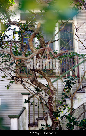 Weiß lackiertes Holz getäfelten Eingangstür des Hauses mit Messing