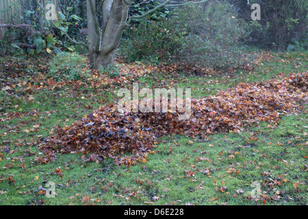 Haufen von Herbstlaub im Garten England Stockfoto