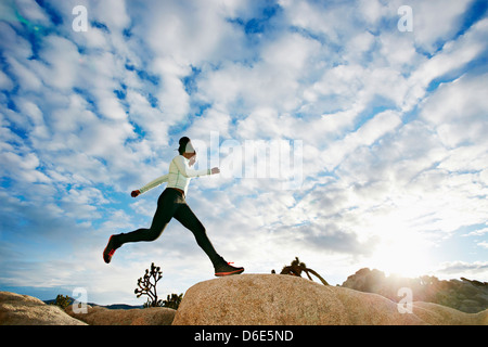 Schwarzen Läufer in Wüstenlandschaft, Joshua Tree National Park, California, Vereinigte Staaten von Amerika Stockfoto