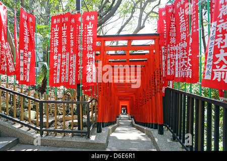 Roten Torii-Tore und Schritte bis zum Eingang der Hie-Jinja-Shinto-Schrein in Tokio, Japan Stockfoto