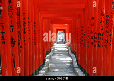 Roten Torii-Tore und Schritte bis zum Eingang der Hie-Jinja-Shinto-Schrein in Tokio, Japan Stockfoto