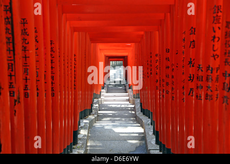 Roten Torii-Tore und Schritte bis zum Eingang der Hie-Jinja-Shinto-Schrein in Tokio, Japan Stockfoto