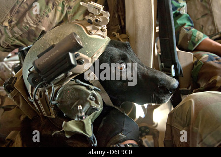 Wilbur, ein Gebrauchshund US Marine Special Operations trägt einen Helm während einer Patrouille mit Afghan National Army Spezialeinheiten, einen Distrikt-Governor einer Schule 15. April 2013 in der Provinz Helmand, Afghanistan zu eskortieren. Stockfoto