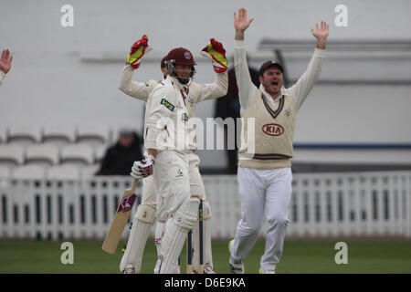 London, UK. 17. April 2013. Steven Davies von Surrey CCC und Greame Smith Surrey Rechtsmittelinstanz für LBW auf Marcus Trescothick von Somerset CCC während der LV County Championship Division 1 Spiel zwischen Surrey und Somerset aus dem Oval. Stockfoto