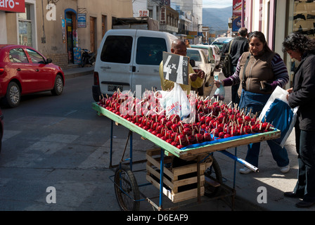 Salta, Provincia di Salta, Argentinien Stockfoto