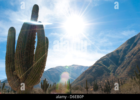 Salta, Provincia di Salta, Argentinien Stockfoto